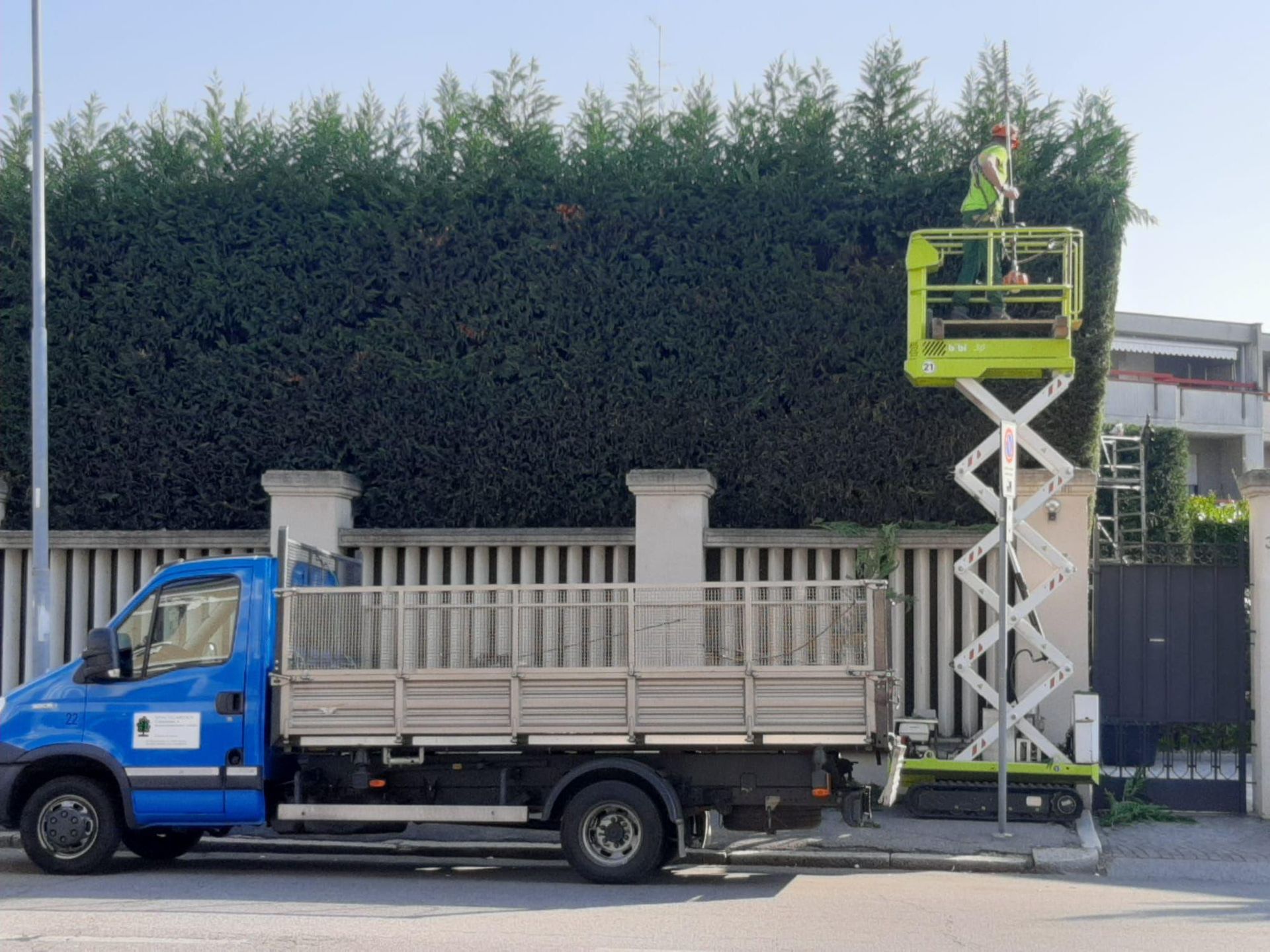 Potatura: eseguiamo potature di siepi, arbusti e alberi, rispettando le esigenze di ogni specie  a Novara