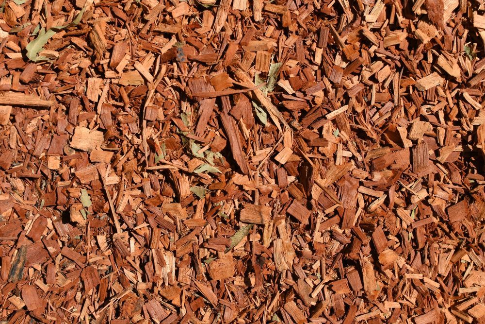 Close up image of wood chips in a pile on the ground.