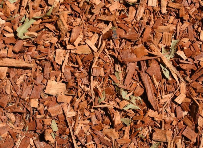 A Pile of Brown Wood Chips With Green Leaves — Tallow Tree Services Pty Ltd in Alstonville, NSW