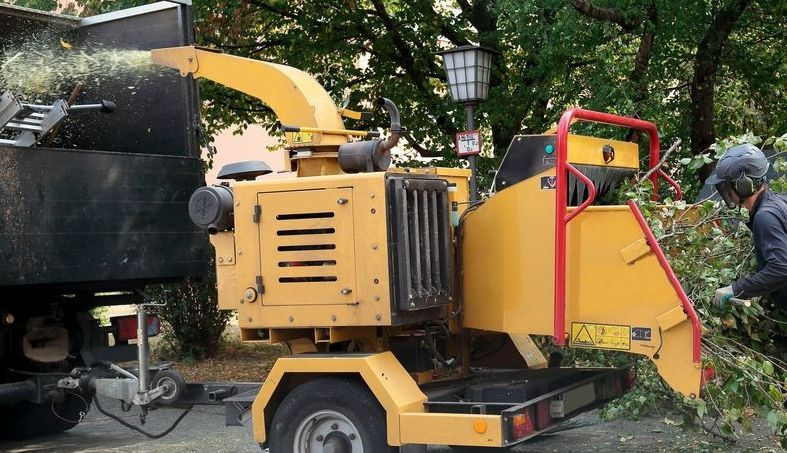 A Yellow Tree Chipper is Being Used to Cut Down Trees — Tallow Tree Services Pty Ltd in Alstonville, NSW