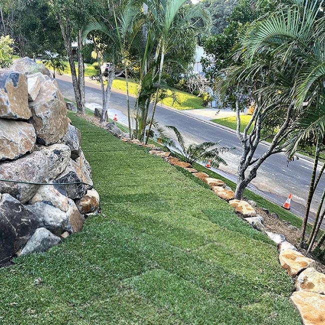 Scenic Hillside Adorned With Vibrant Greenery and a Sturdy Rock Wall — Tallow Tree Services Pty Ltd in Bangalow, NSW