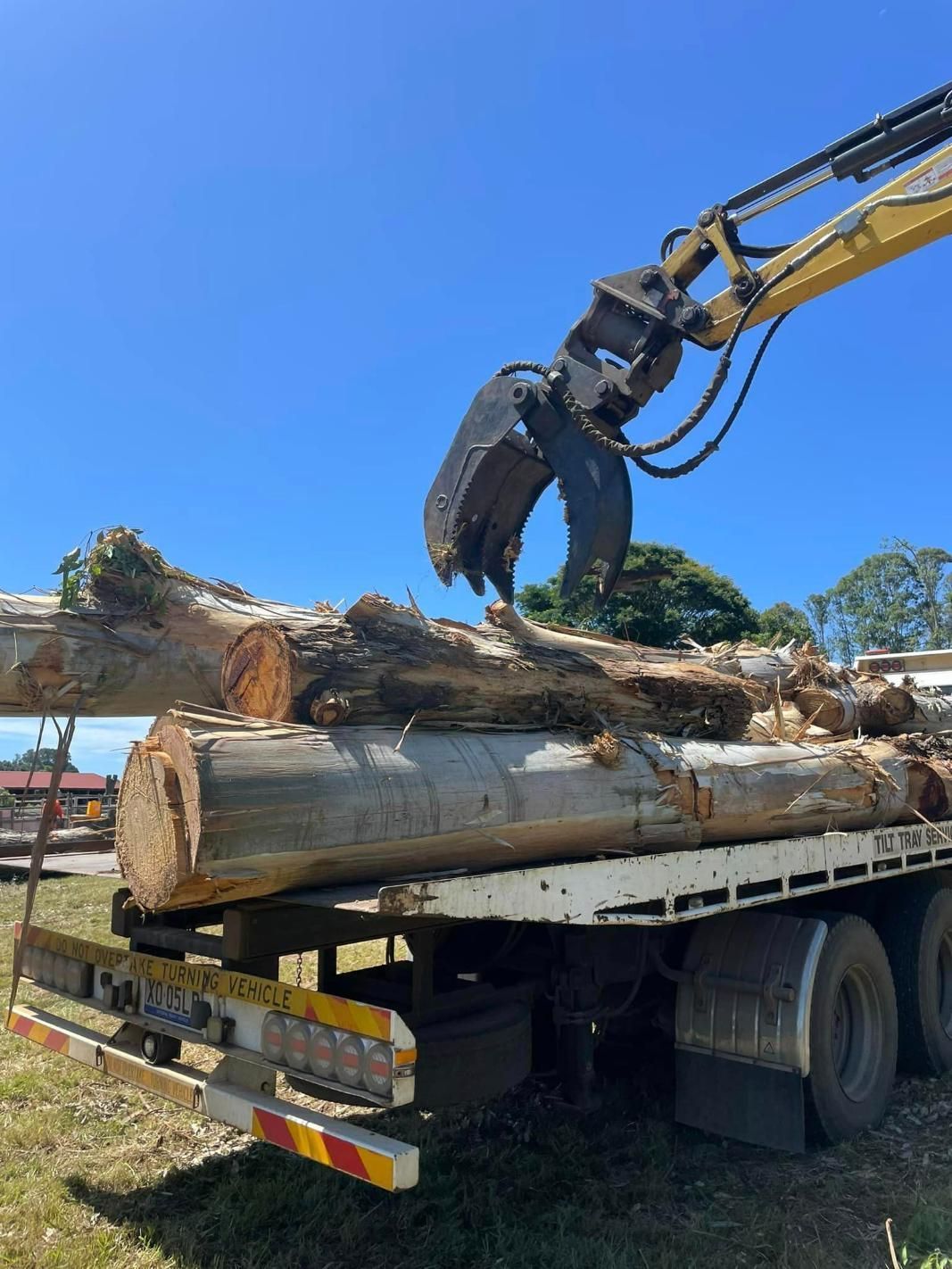 Crane Lifting Logs on a Truck