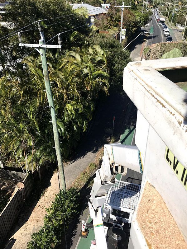 A Crane is Sitting on Top of a Building Next to a Street — Tallow Tree Services Pty Ltd in Bangalow, NSW