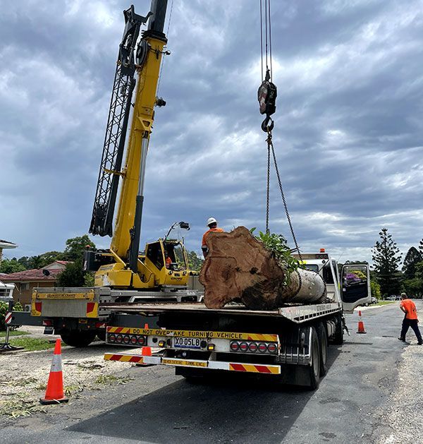 A Large Log is Being Lifted by a Crane on the Back of a Truck — Tallow Tree Services Pty Ltd in Bangalow, NSW