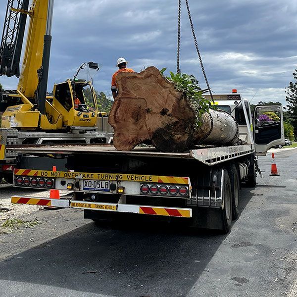 A Tow Truck is Carrying a Large Tree Stump — Tallow Tree Services Pty Ltd in Bangalow, NSW
