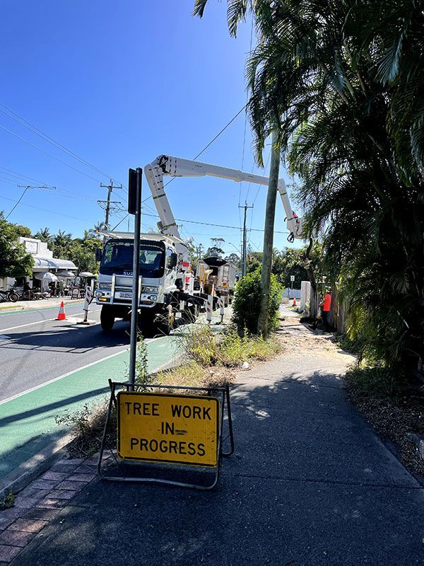 A Yellow Sign on the Sidewalk Says Tree Work in Progress — Tallow Tree Services Pty Ltd in Bangalow, NSW