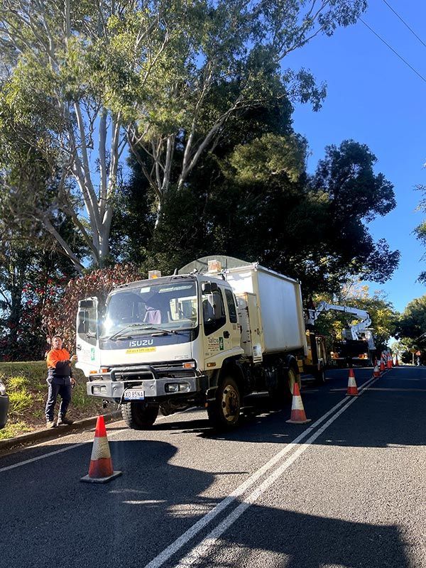Providing Urgent Tree Cutting Services for Emergencies — Tallow Tree Services Pty Ltd in Bangalow, NSW