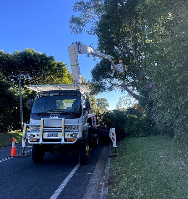 A Truck With a Crane on Top of It is Parked on the Side of the Road — Tallow Tree Services Pty Ltd in Bangalow, NSW