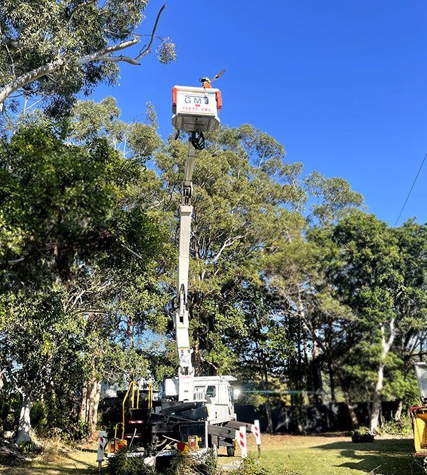 A Man is Sitting in a Bucket on Top of a Crane — Tallow Tree Services Pty Ltd in Bangalow, NSW