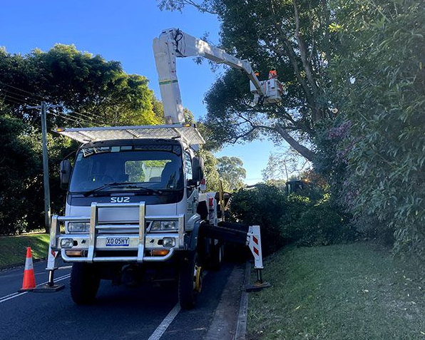 Tree service crew using an elevated platform truck to trim overhanging roadside trees
