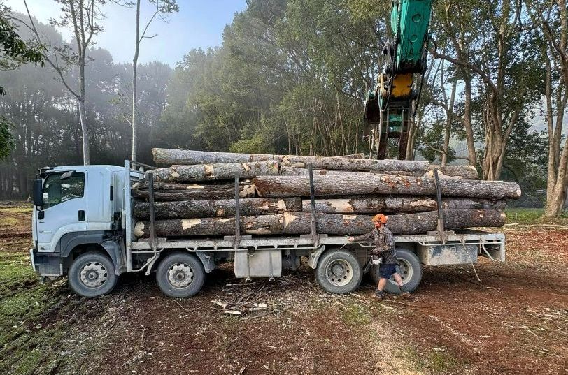 A Man is Standing Next to a Truck Loaded With Logs — Tallow Tree Services Pty Ltd in Alstonville, NSW