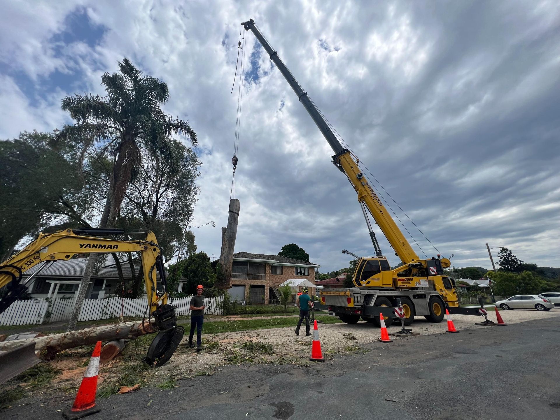 Tree Removal Service