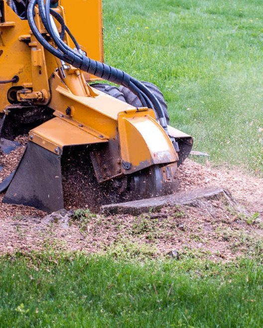 Stump Grinder is Cutting a Tree Stump in the Grass — Tallow Tree Services Pty Ltd in Bangalow, NSW