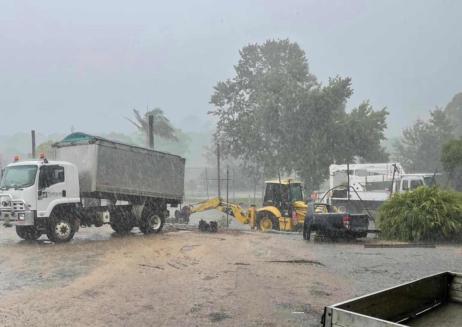 A Bad Weather To Remove Trees