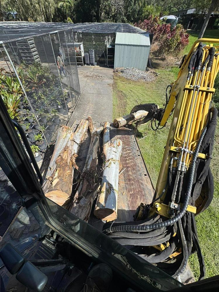 Arborists View From The Crane