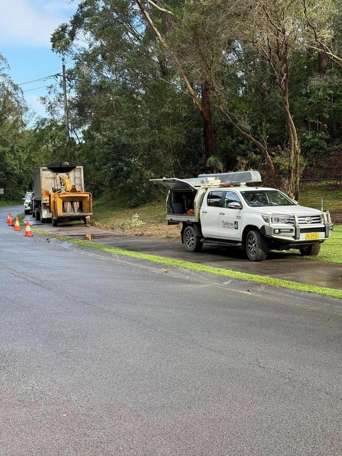 Chipping Woods During Clean Up