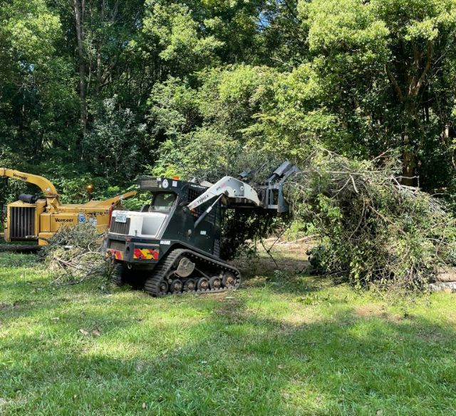 A Bulldozer is Cutting Down Trees in a Field — Tallow Tree Services Pty Ltd in Lennox Head, NSW