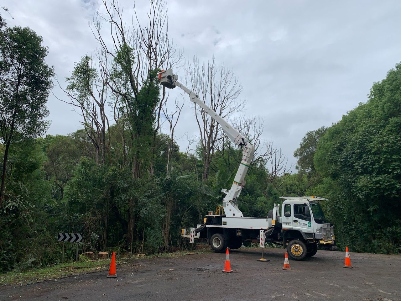 Relocating Trees