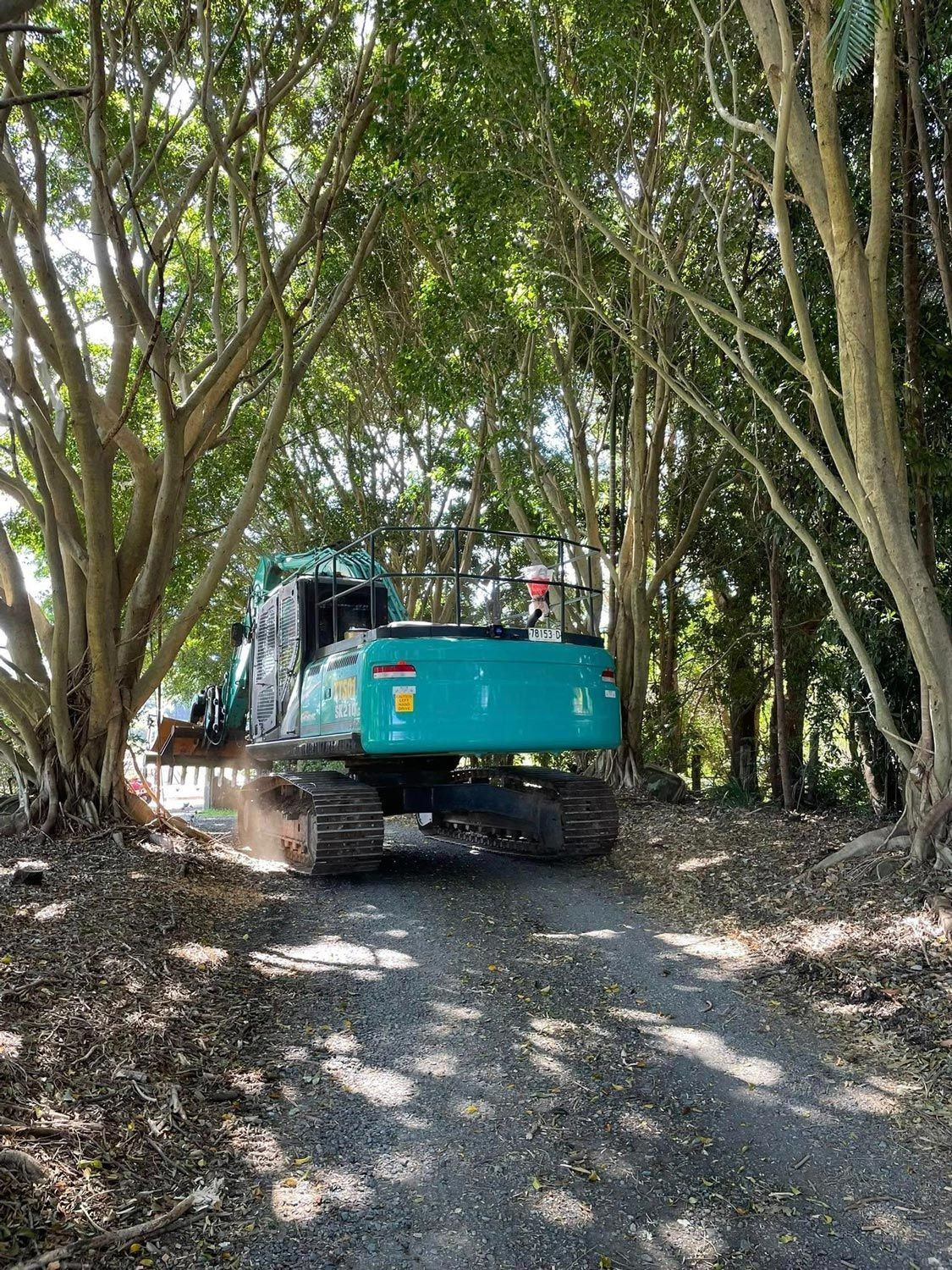 Excavator To Be Used For Tree Removal