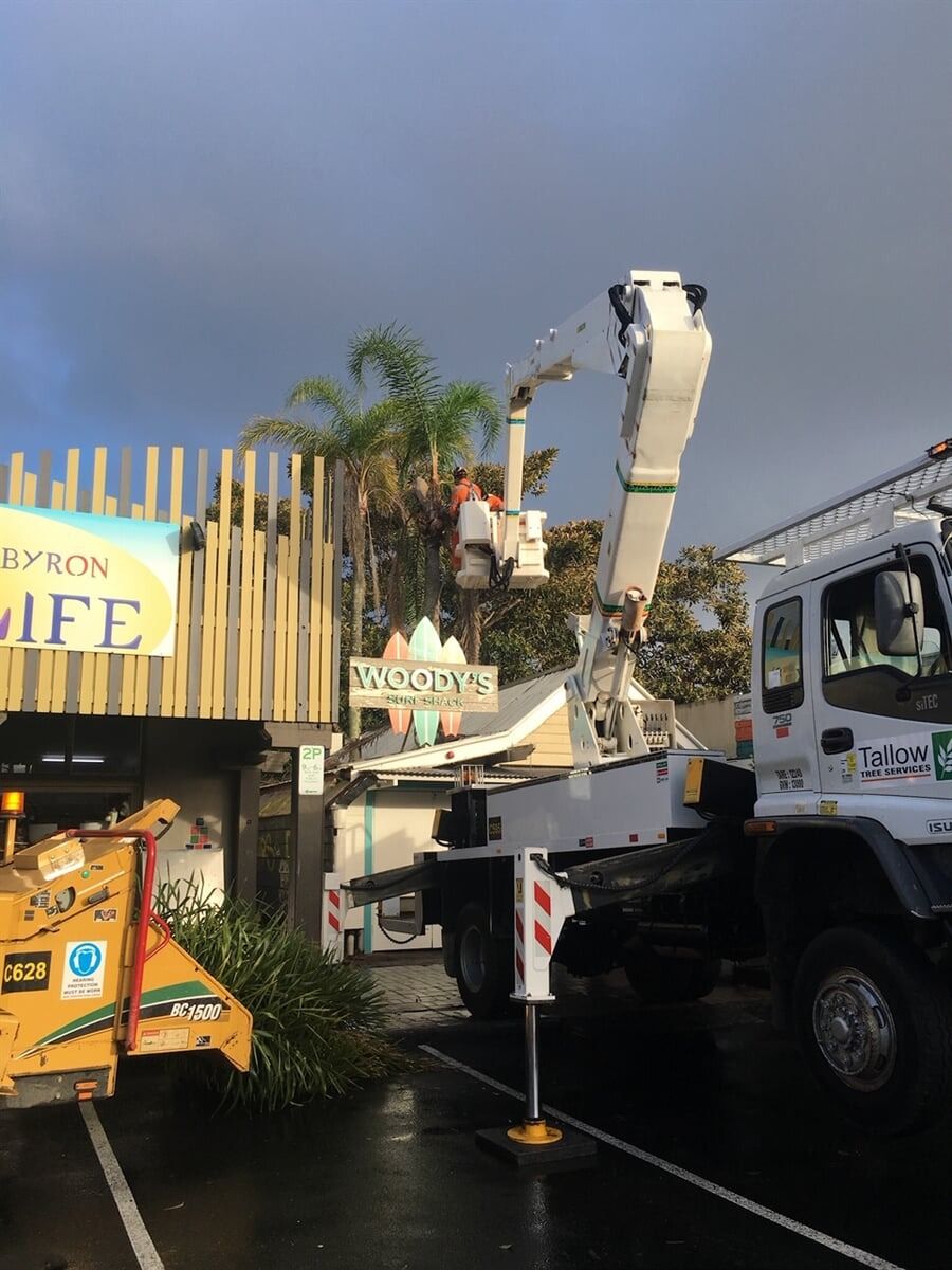 Cutting a Tree on a Crane — Tree Services Byron Bay