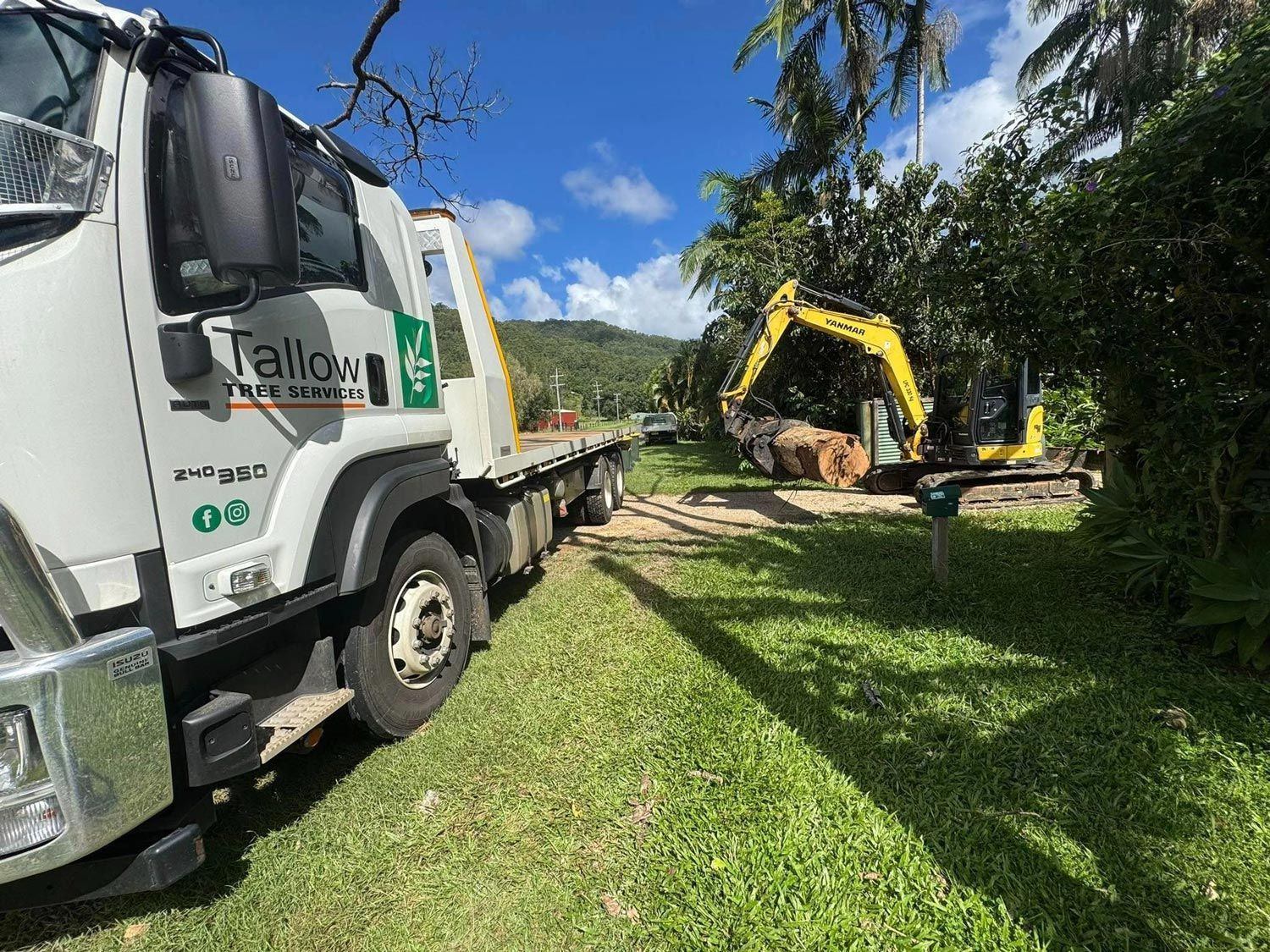 Moving Cut Trees To A Trailer
