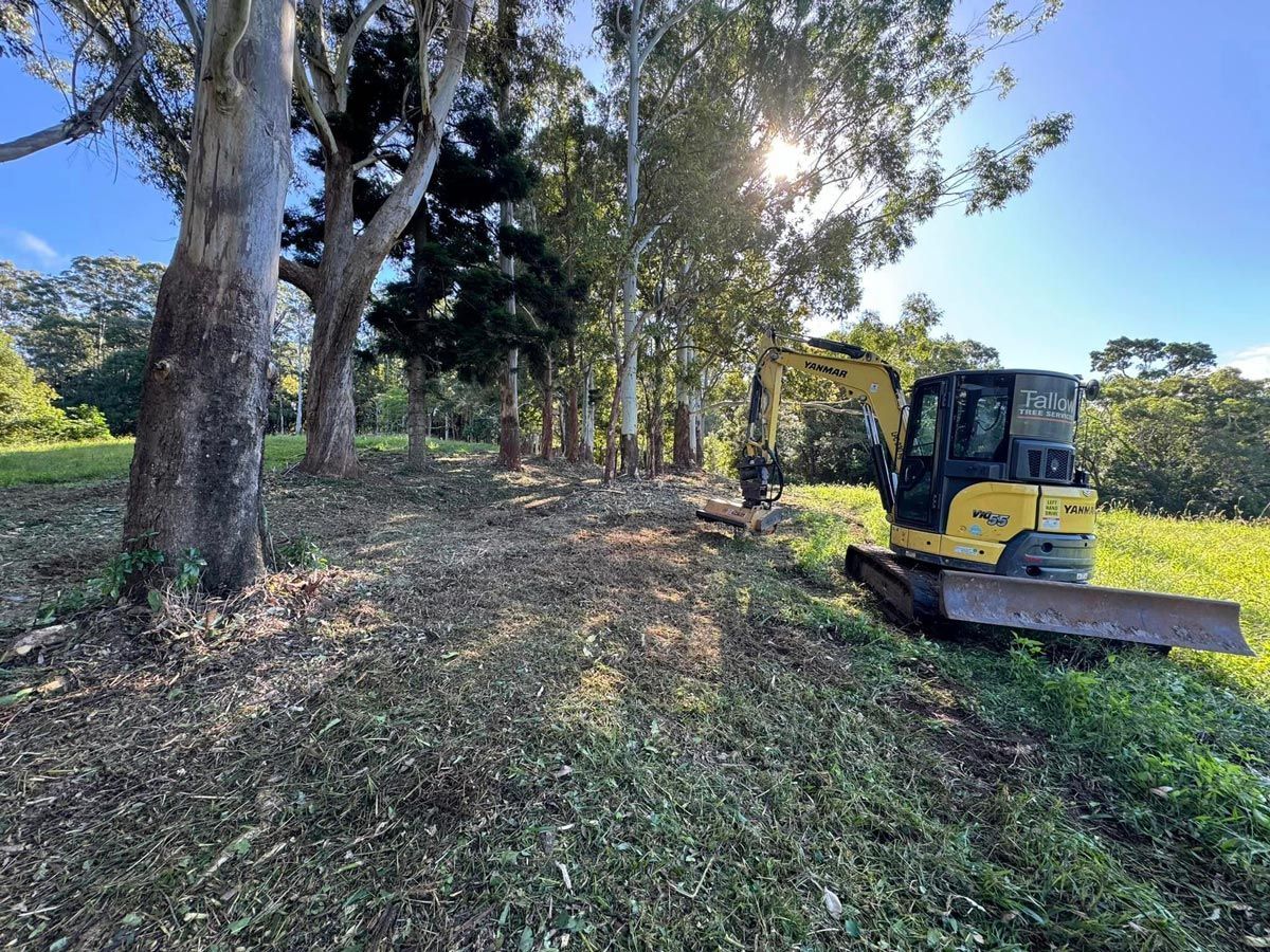 Ongoing Land Clearing Operation