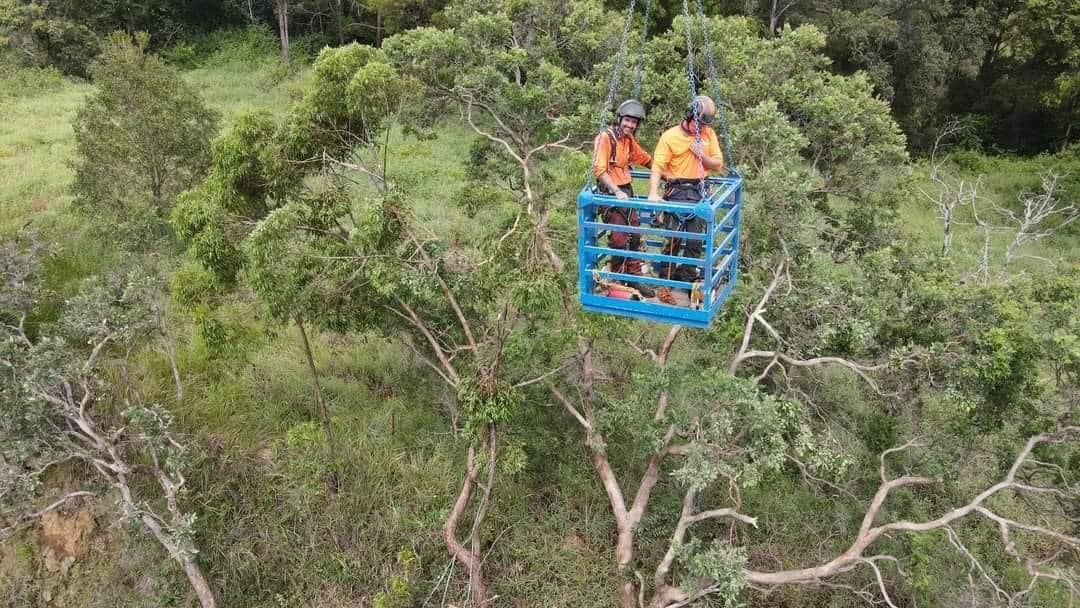 A Couple of People Are Sitting in a Cage in a Tree — Tallow Tree Services Pty Ltd in Byron Bay, NSW