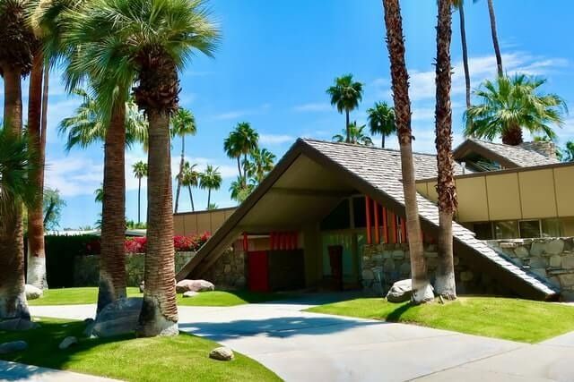 House with palm trees in front — Tree Services Byron Bay