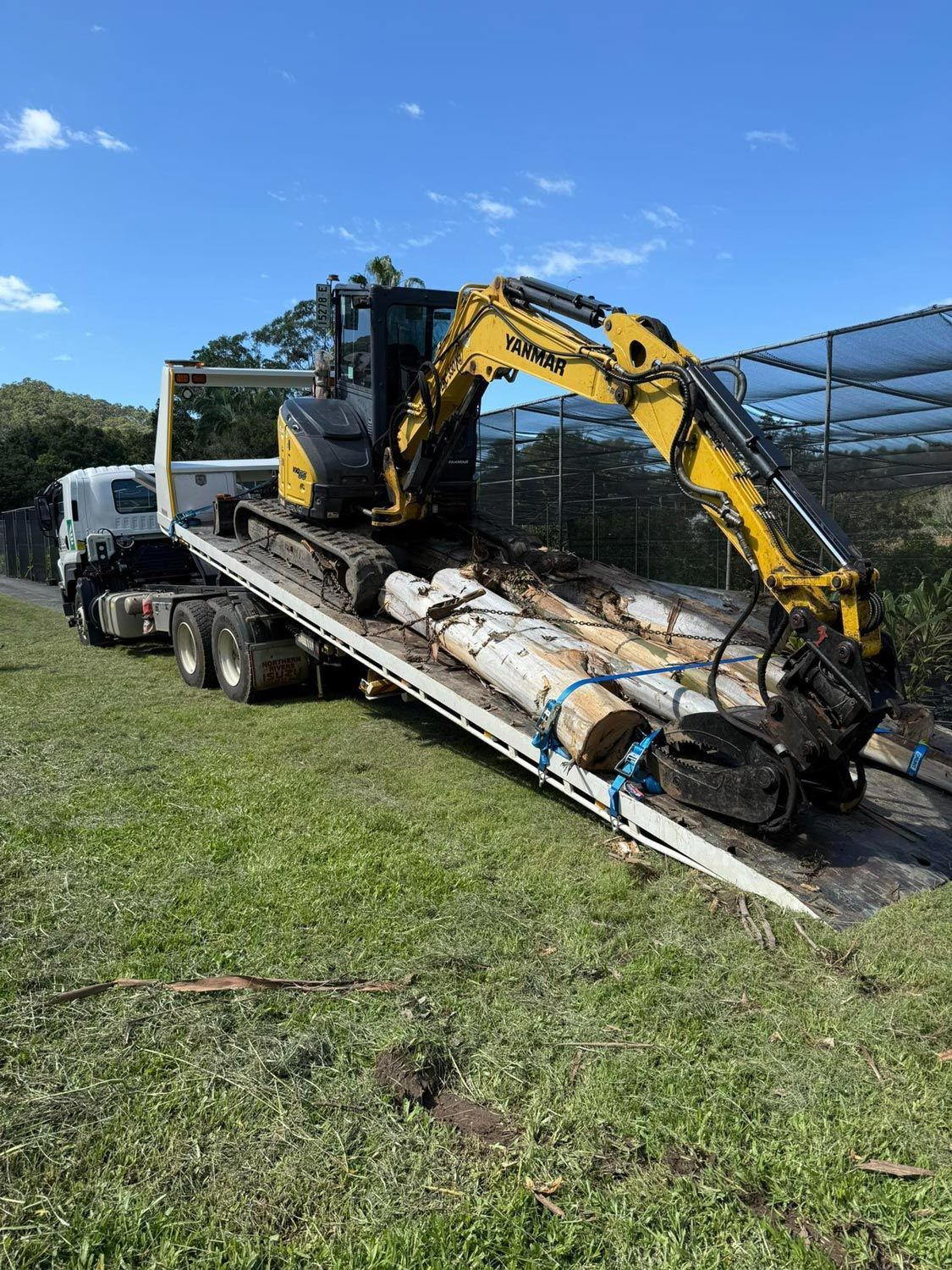 Removed Trees On A Trailer