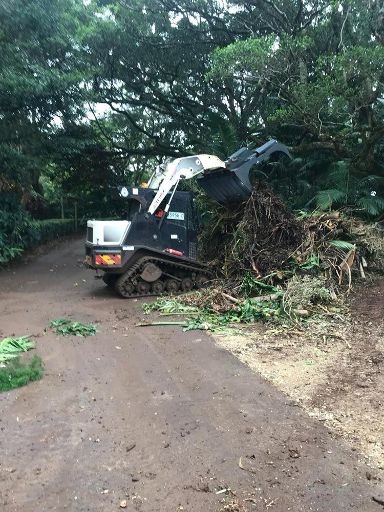 Removing Fallen Trees And Branches