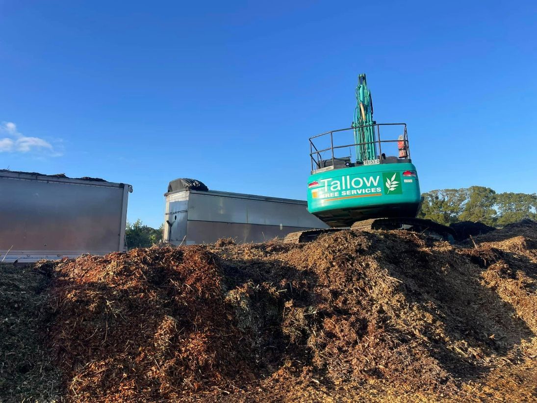A Large Excavator is Sitting on Top of a Pile of Dirt — Tallow Tree Services Pty Ltd in Evans Head, NSW