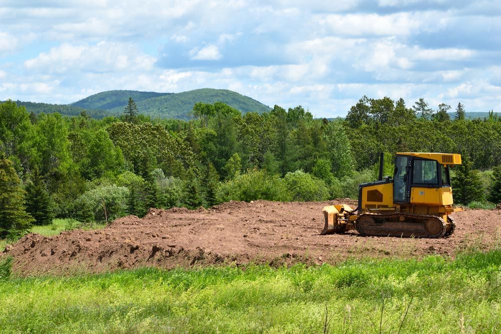 A Bulldozer is Plowing a Field With Mountains in the Background — Tallow Tree Services Pty Ltd in Ballina, NSW
