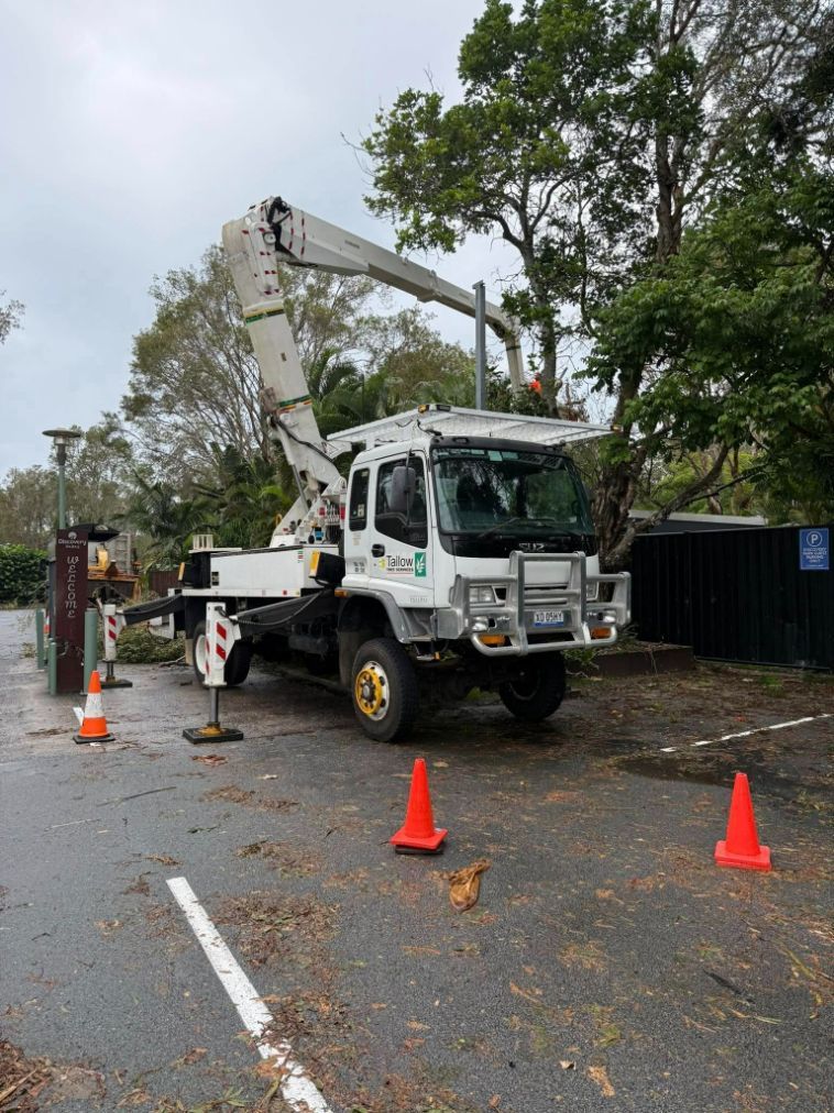 A Crane Truck is Parked in a Parking Lot Next to Orange Cones — Tallow Tree Services Pty Ltd in Yamba, NSW
