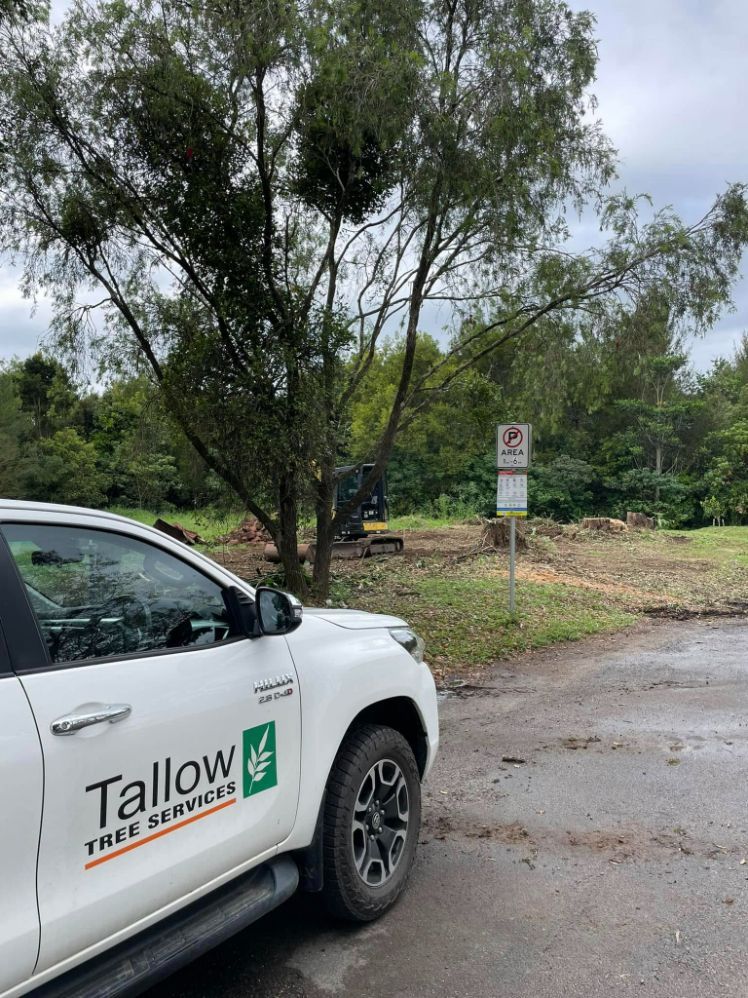 A White Truck with the Word Tallow on the Side is Parked on the Side of the Road — Tallow Tree Services Pty Ltd in Yamba, NSW