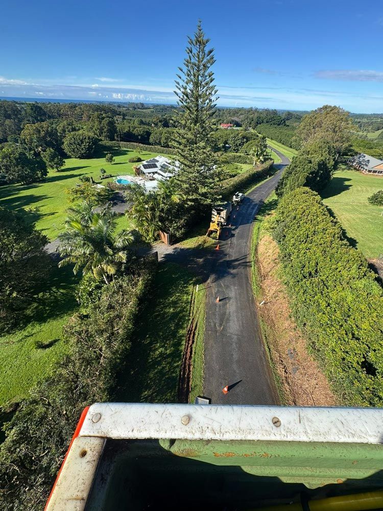 View Of A Property With Trees