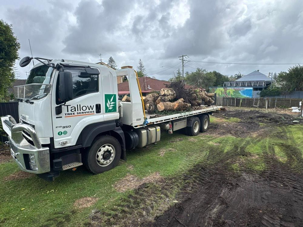 White Truck With Cut Trees