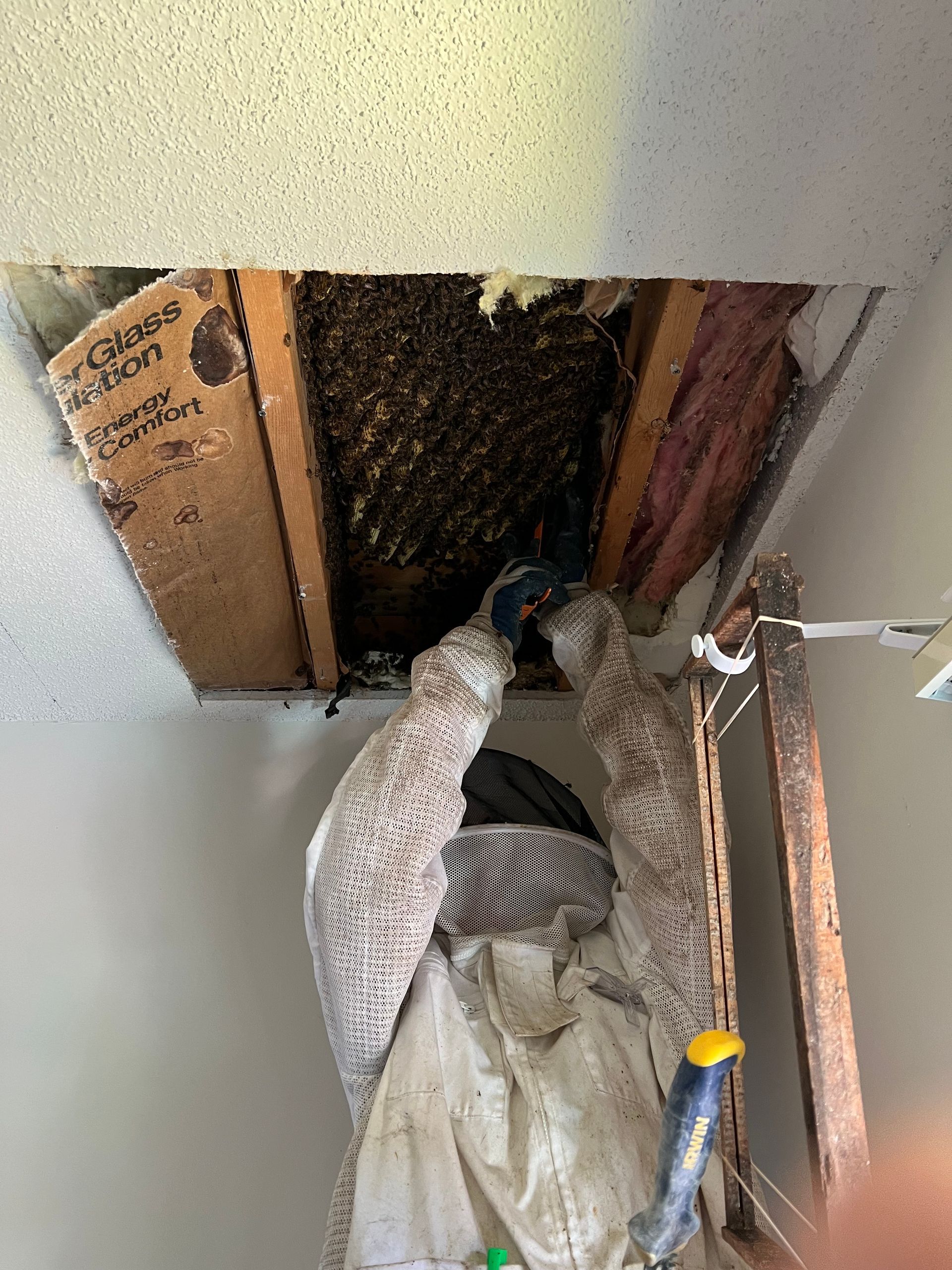 A person is standing in a room with a beehive in the ceiling.