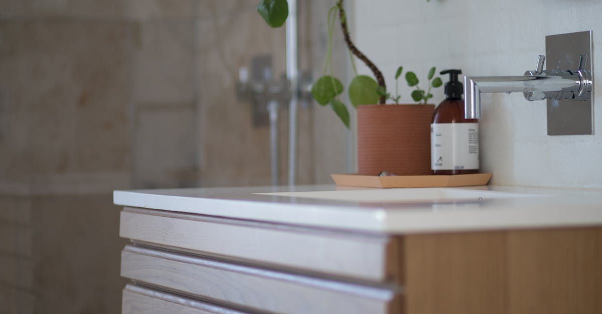 A bathroom sink with a potted plant and a bottle of soap on it.