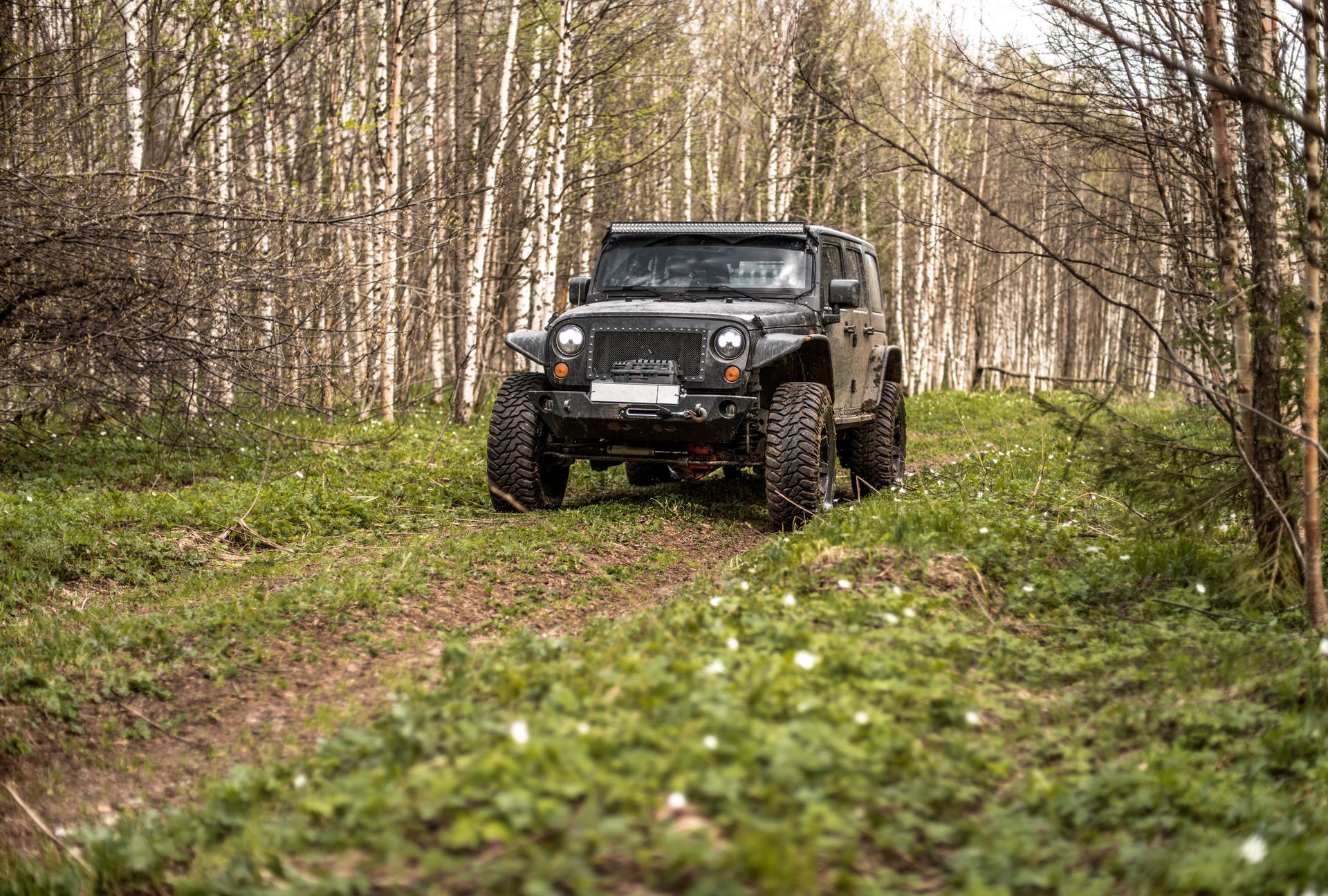Jeep Off-Road in the Forest in Albuquerque, NM - Trucks Unique