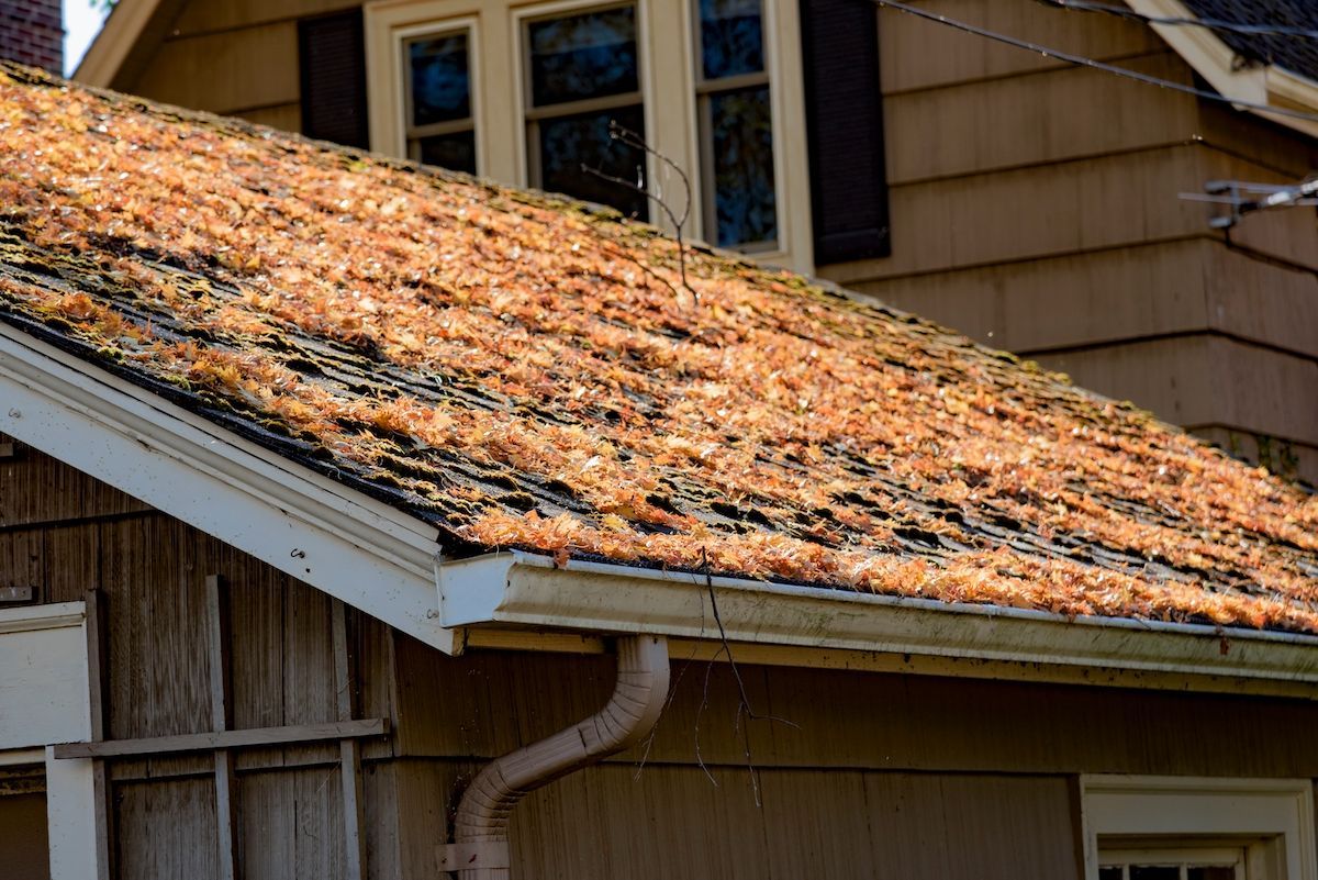 Take Care of Your Mid-Missouri Roof This Fall With the Contractors at Chavez Enterprises