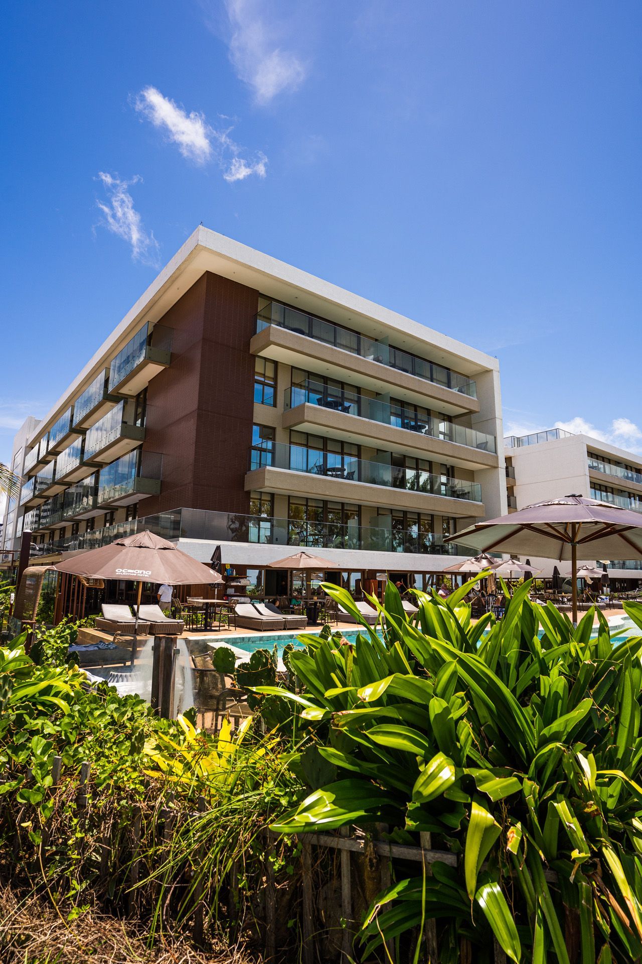 Prédio de hotel moderno com piscina, dia ensolarado. Plantas verdes em primeiro plano.