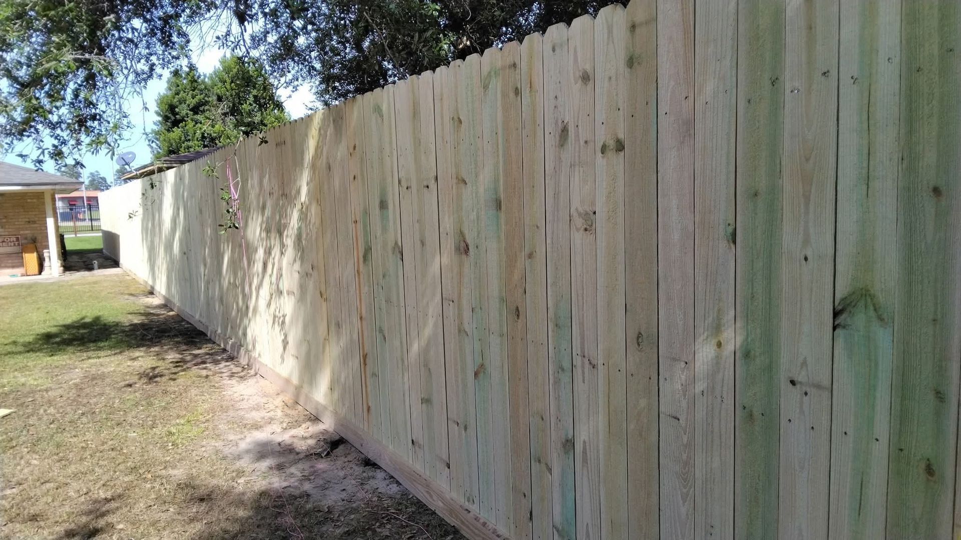 Wooden privacy fence in a backyard, constructed with vertical planks.