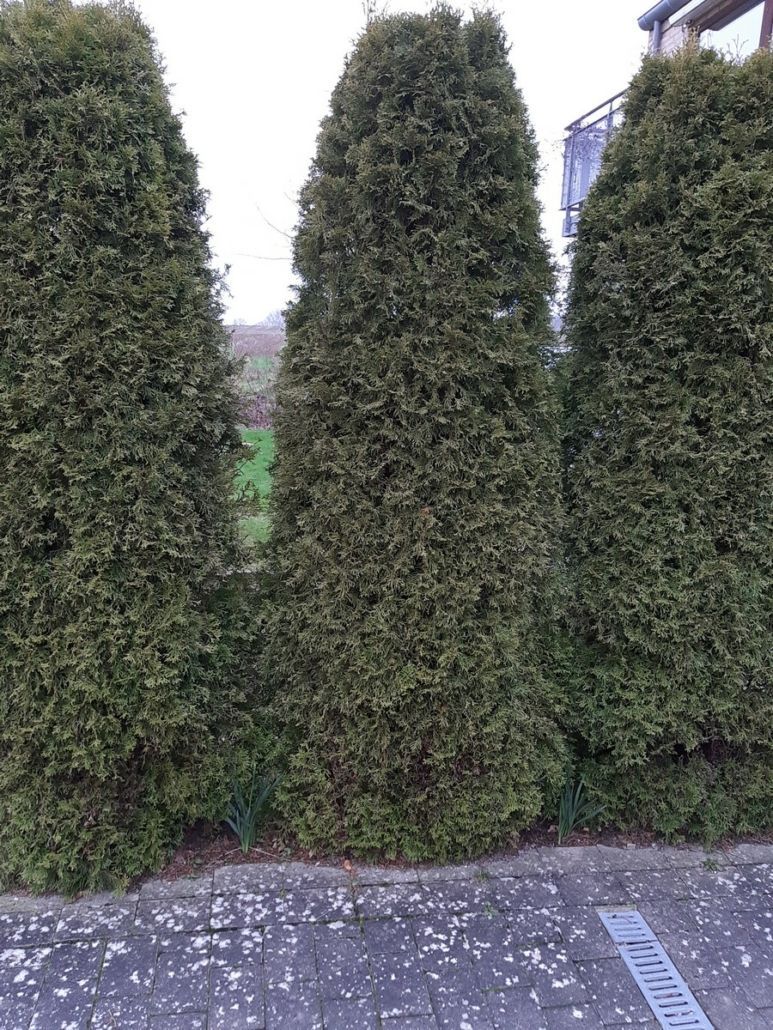 Værløse – cykelskur før og efter