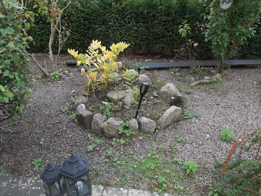 Allerød – have før og efter