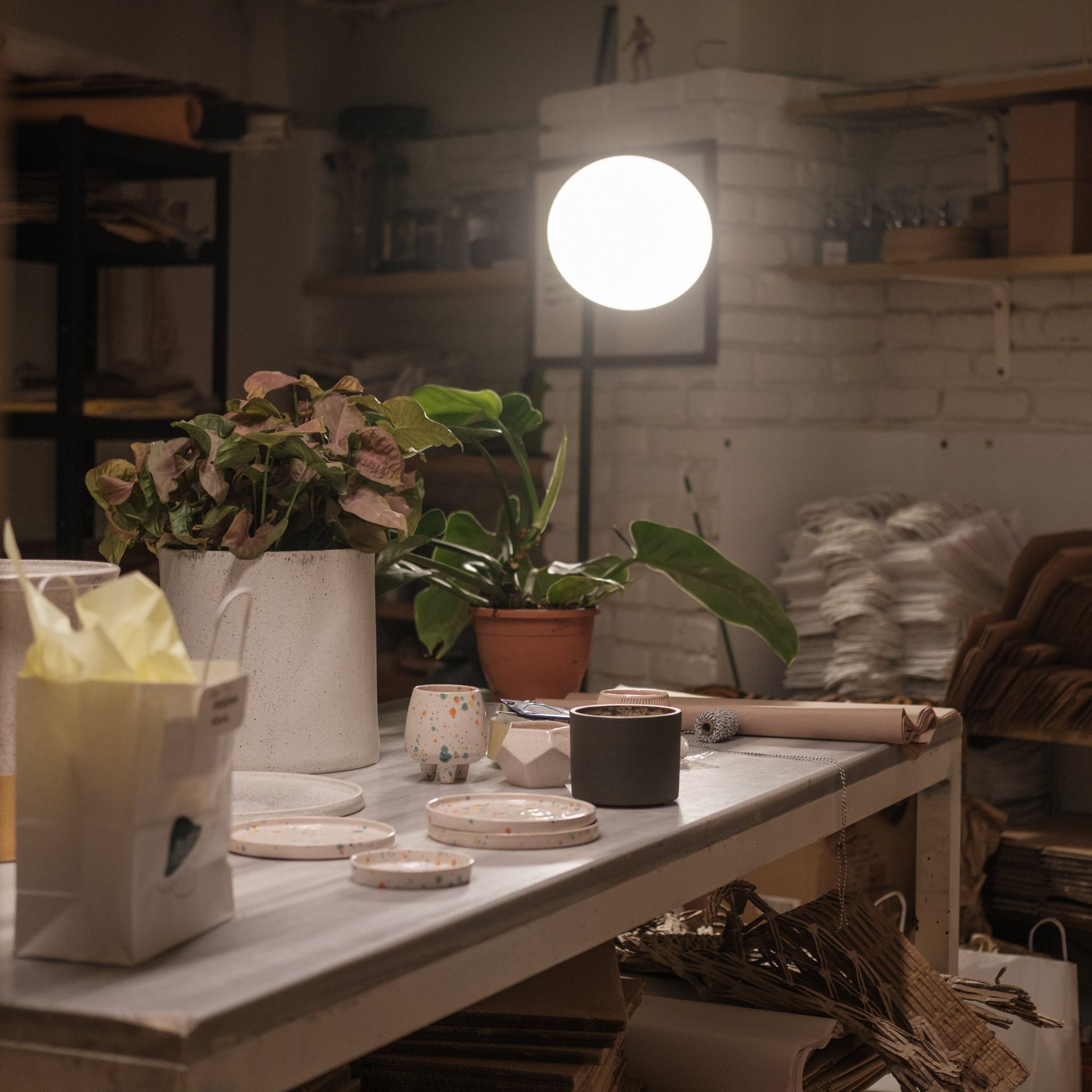 A table with potted plants and a lamp on it