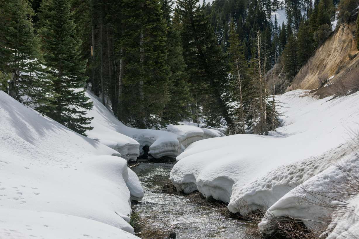Spring runoff in the Wasatch Mountains