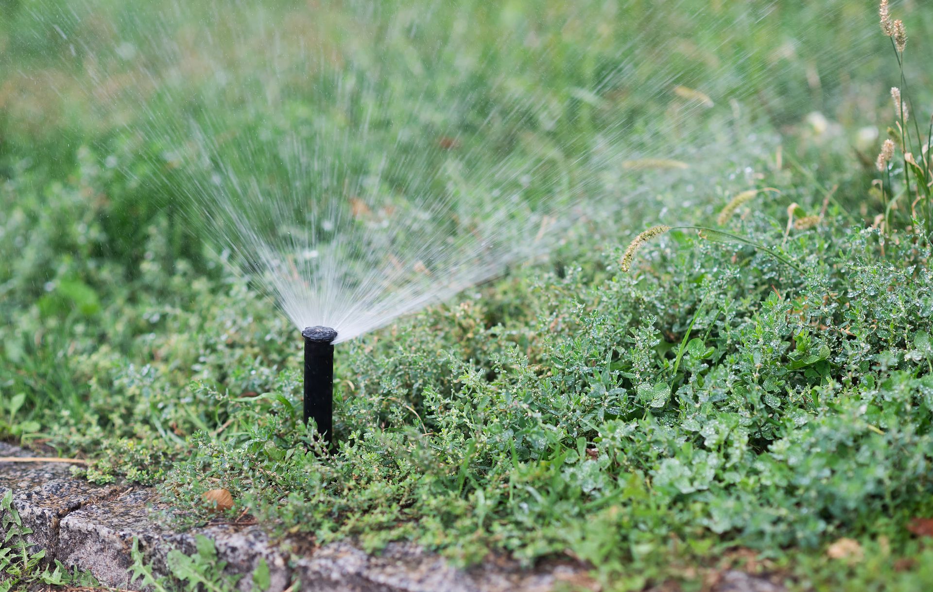 Test your sprinkler and irrigation system
