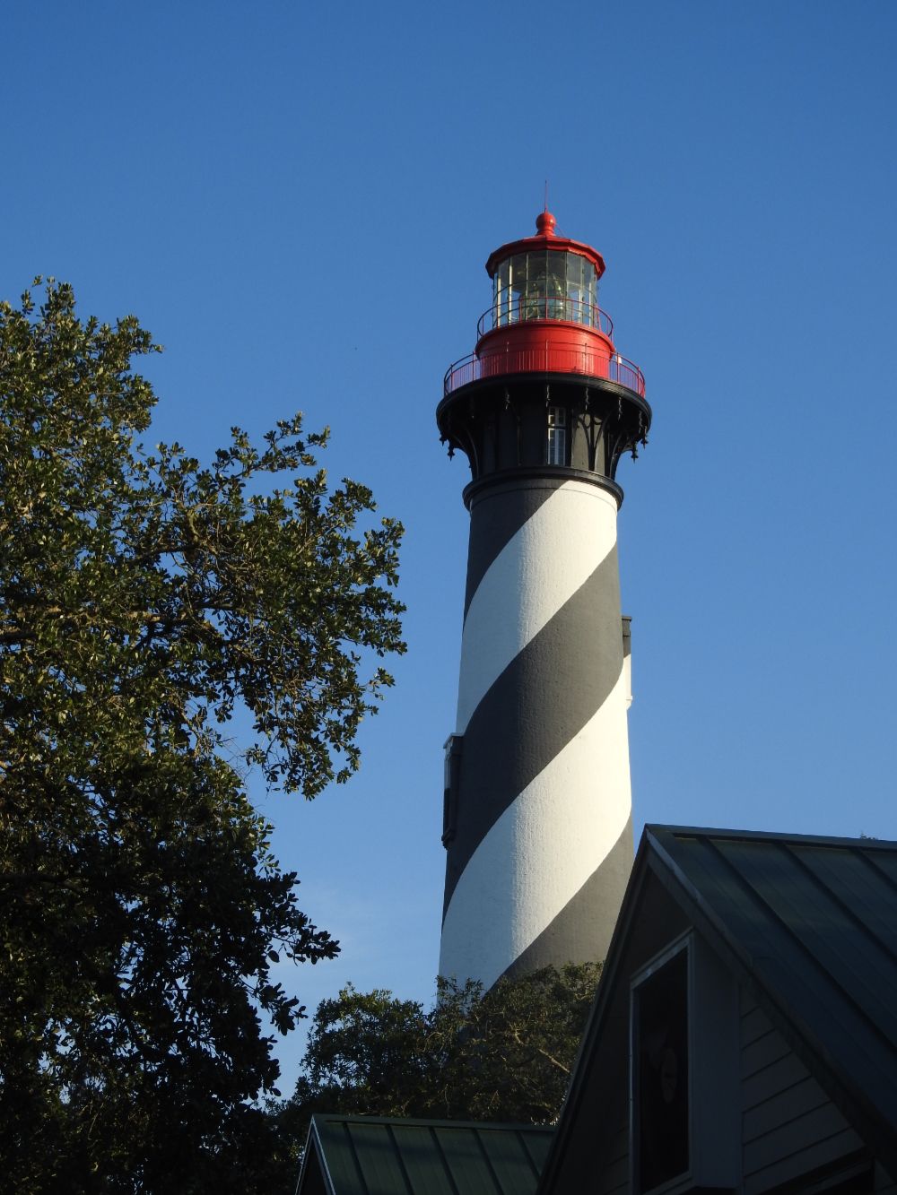 St. Augustine Lighthouse with its iconic black and white spiral stripes stands against a clear blue sky behind some trees.