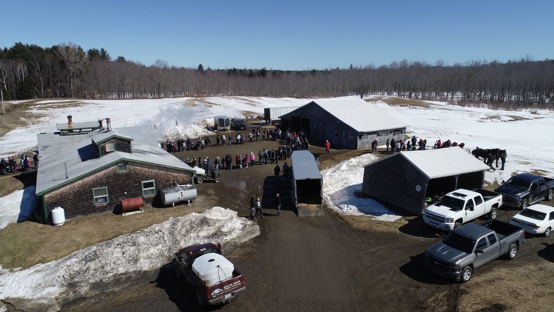 Bacon Farm photo