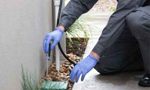 Reticulation System — Pest Control in Mackay, QLD